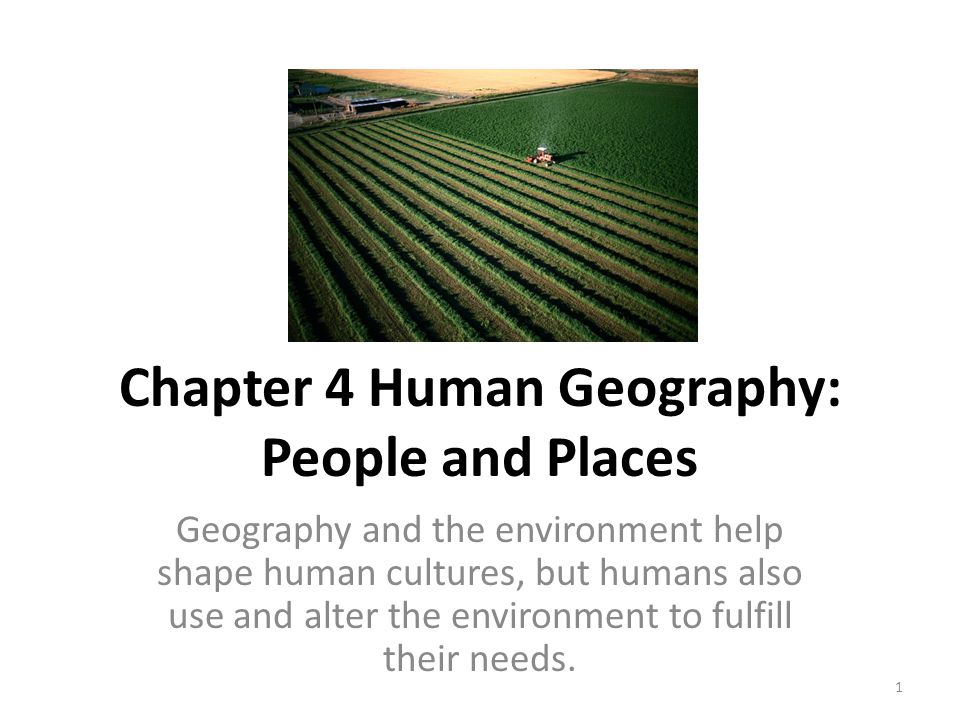 Stanford college roommate essay